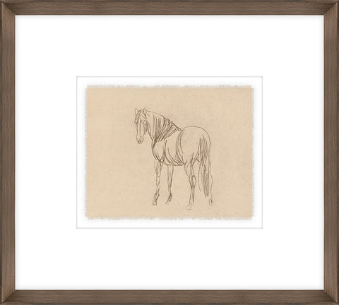 Equine Sketch