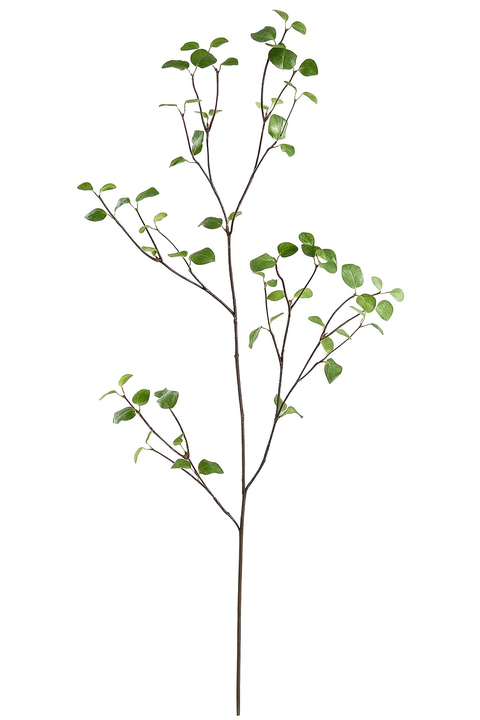 61" Bay Leaf Spray