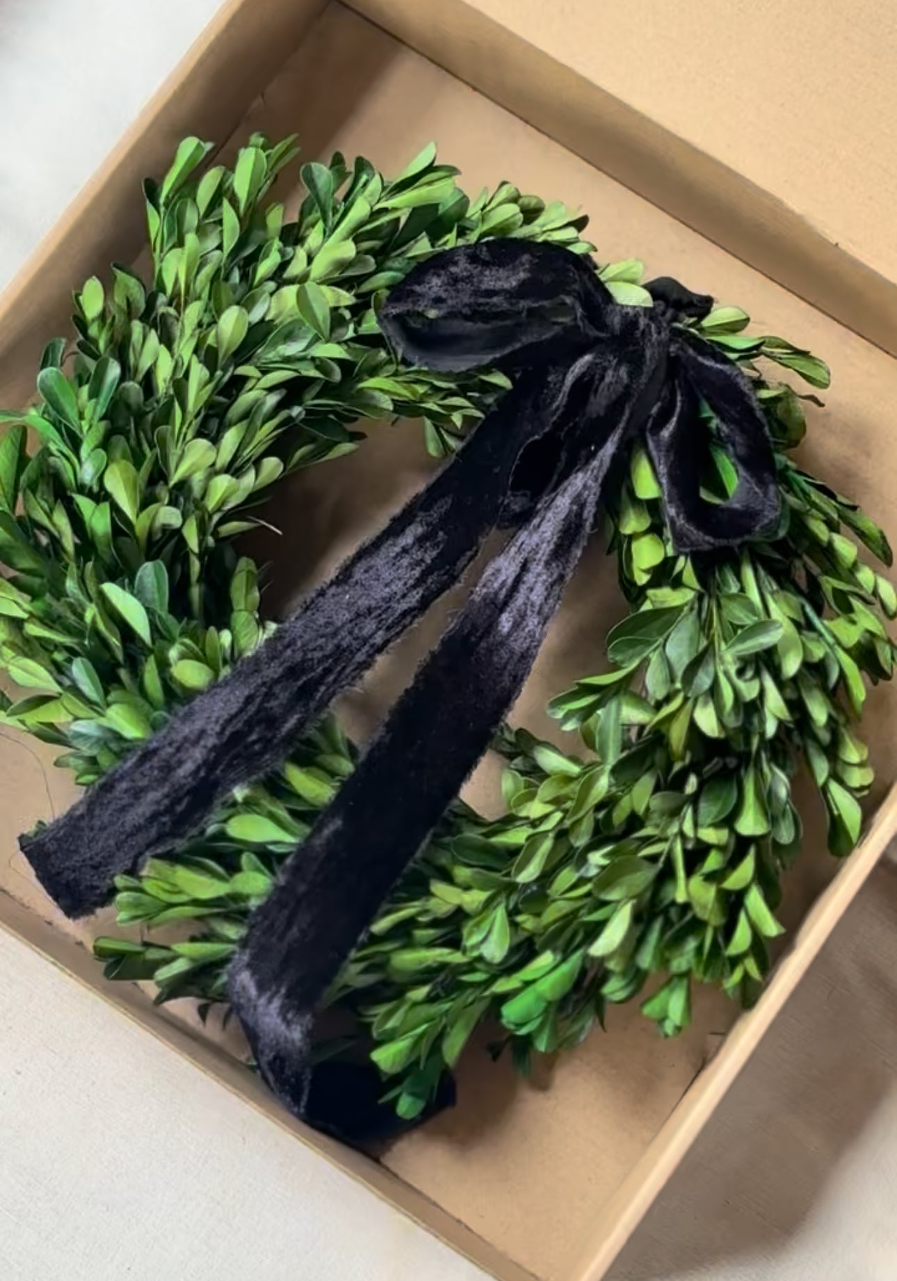 Boxwood Wreath 12"