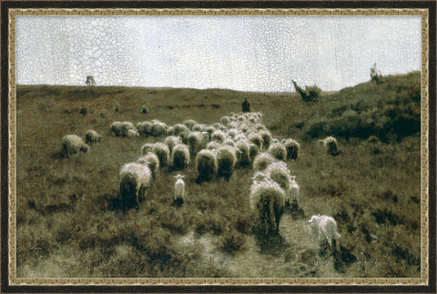Countryside Flock