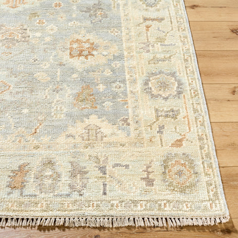 Antalya Light Blue/Brown Rug