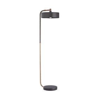 Aaron One Light Floor Lamp