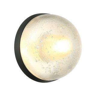 Misty One Light Wall Sconce/Ceiling Mount