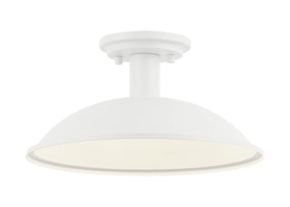 Farmley One Light Ceiling Mount