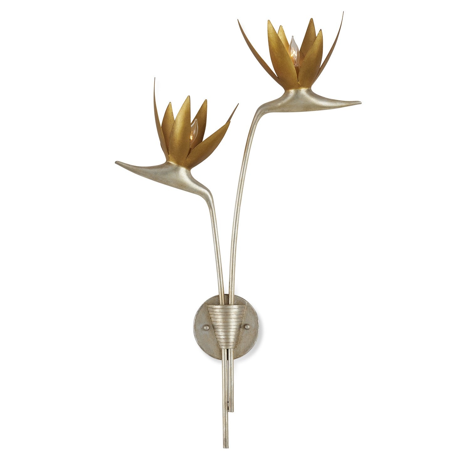 Paradiso Wall Sconce