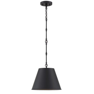 Alden One Light Pendant