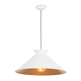 Viggo One Light Pendant