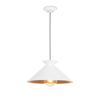 Viggo One Light Pendant