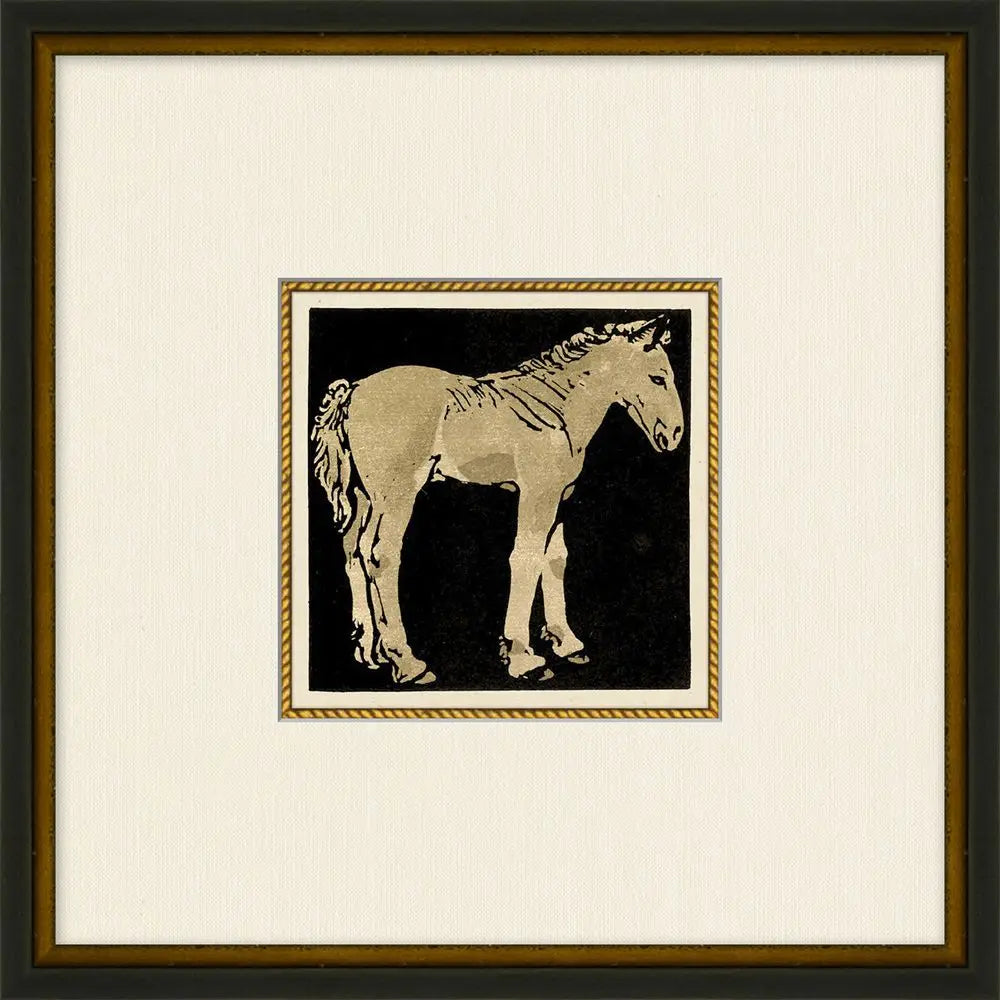 Young Horse Study