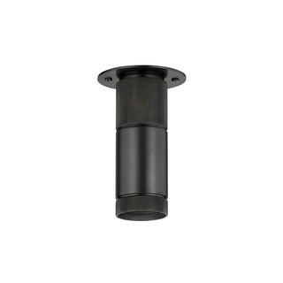 Dighton One Light Flush Mount
