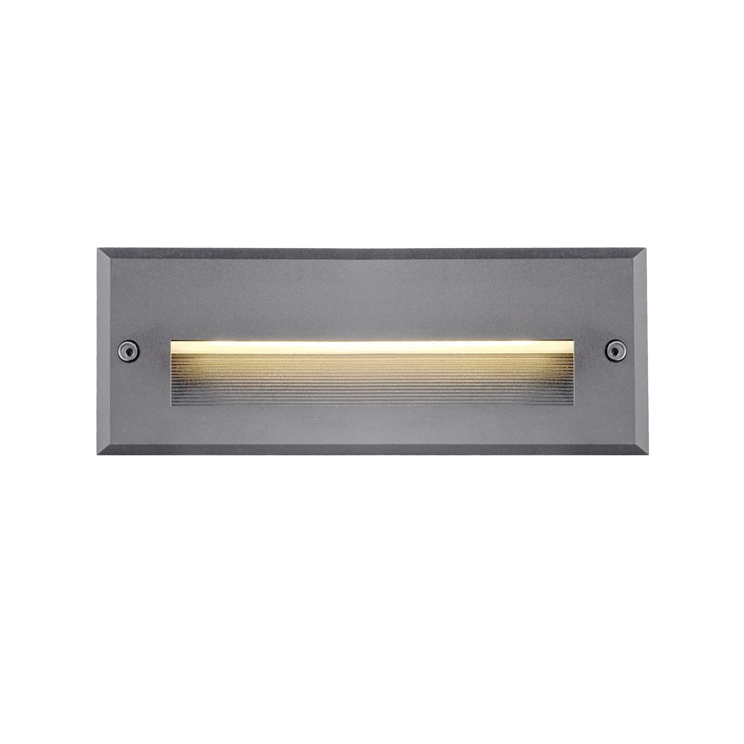 Newport Exterior Wall/Step Light