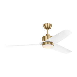 Colgin 56" Ceiling Fan