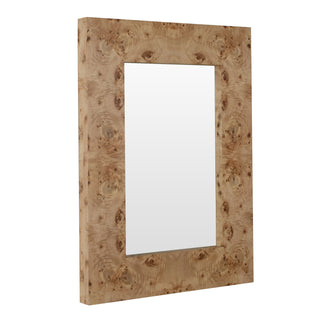 Saul Mirror