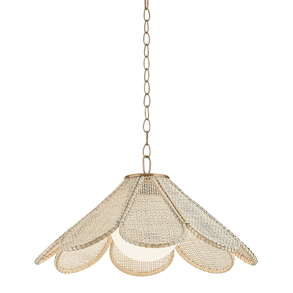 Troy Lighting Canada - F3324-PBR - One Light Pendant - Petal - Patina Brass