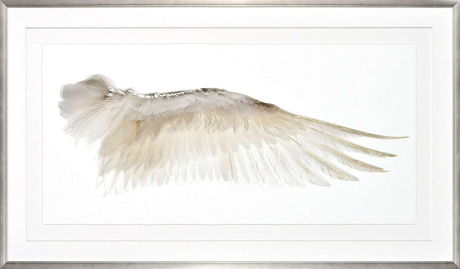 Wings Of A Feather II