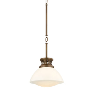 Bruceville One Light Pendant