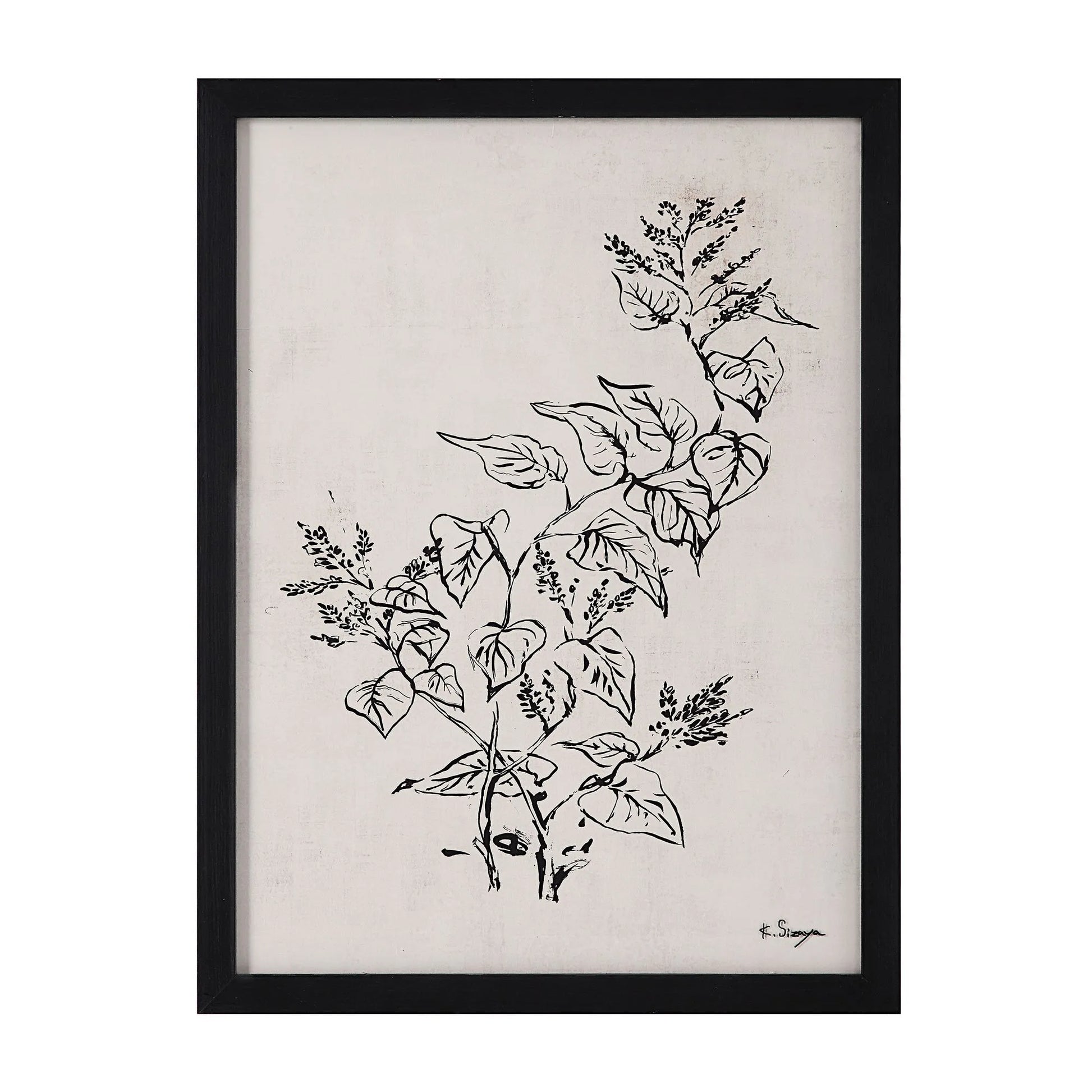 Floral Prints, Set of 4