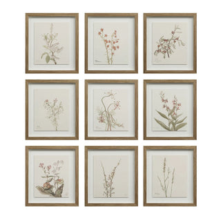 Botanical Wall Art, Set of 9
