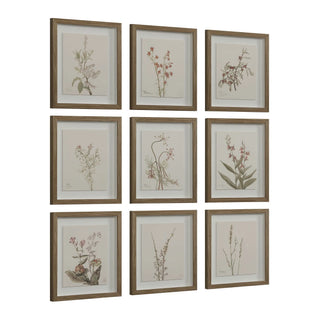 Botanical Wall Art, Set of 9