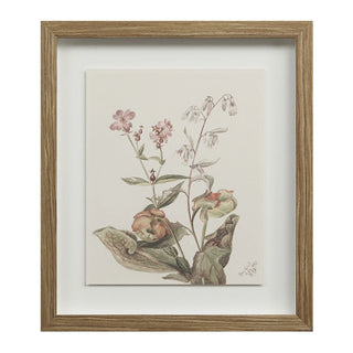 Botanical Wall Art, Set of 9