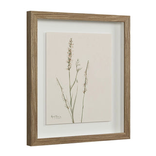 Botanical Wall Art, Set of 9