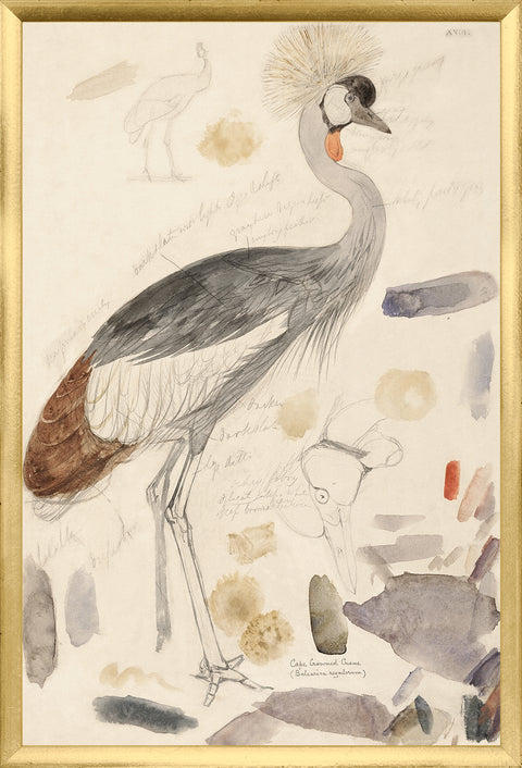 Edward Lear, Crane