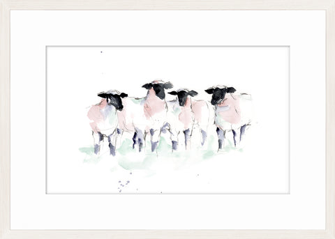 Watercolour Sheep