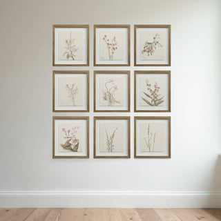 Botanical Wall Art, Set of 9