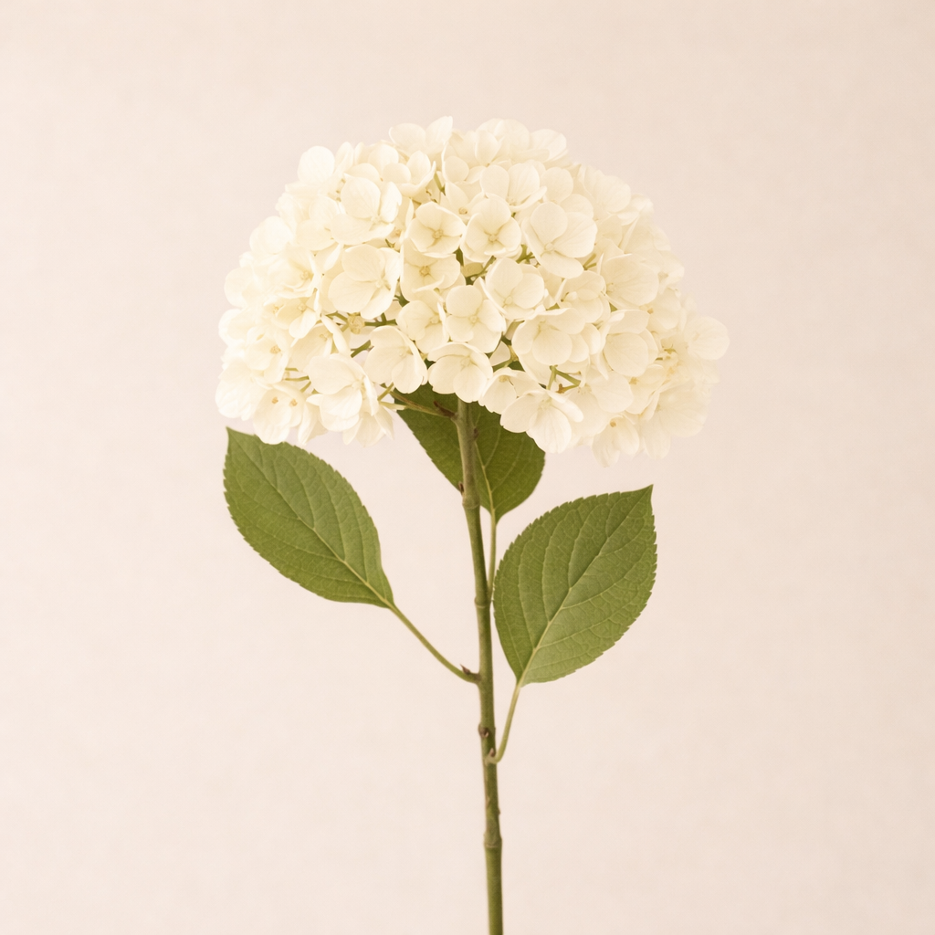 Hydrangea White Faux Floral Stem