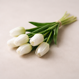 Tulip Bundle