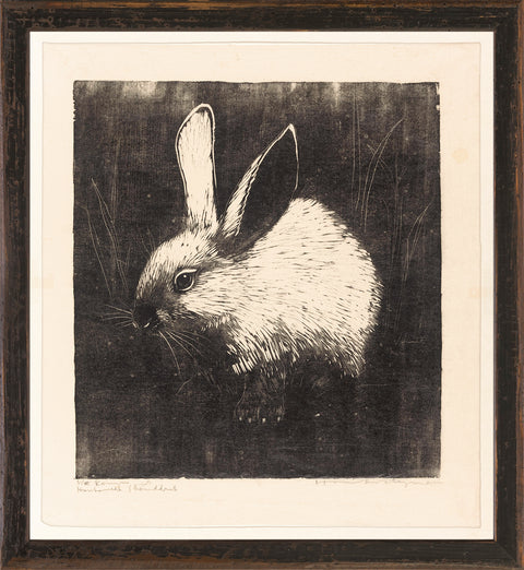 Vintage Rabbit