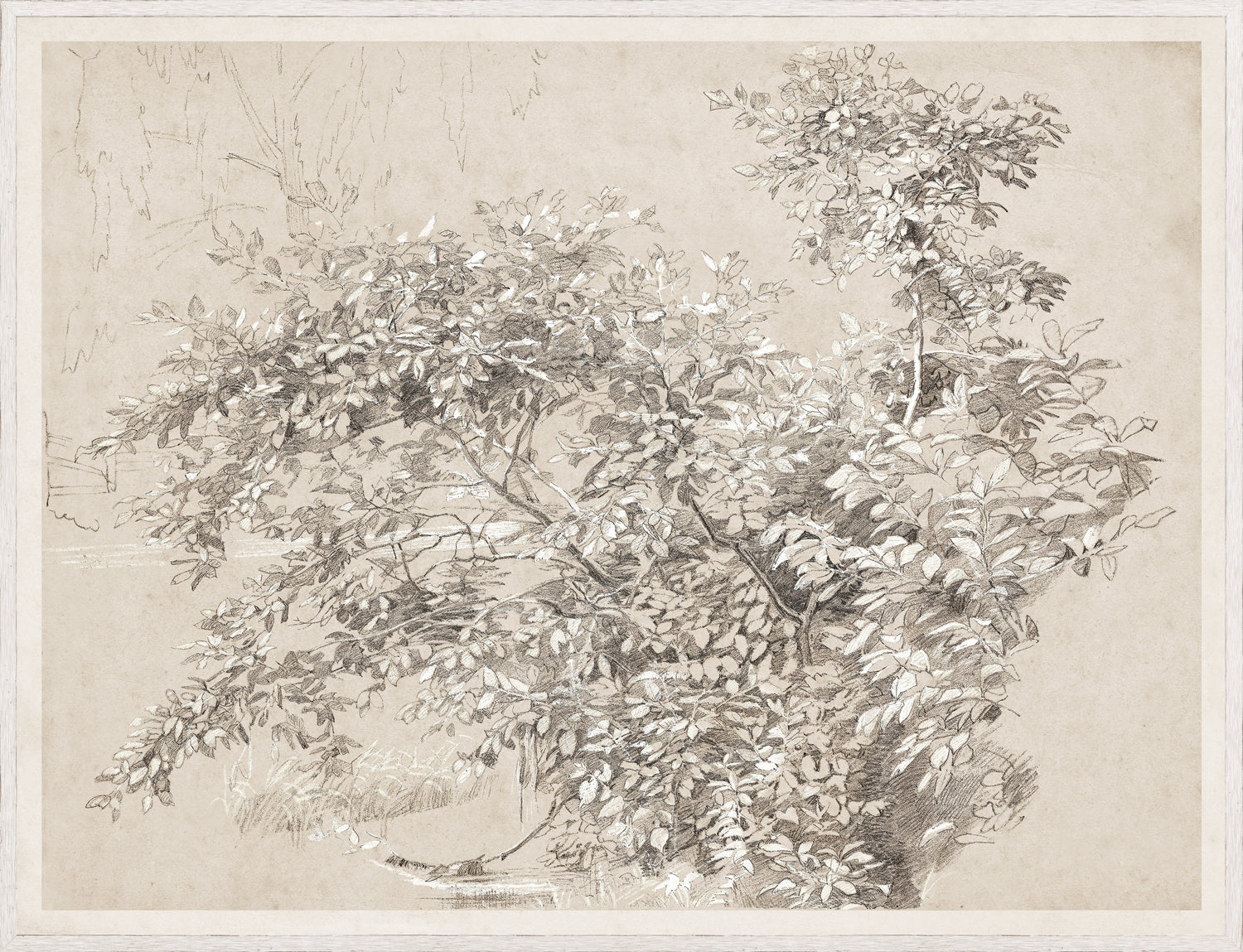 Graphite & Gouache Study C. 1890
