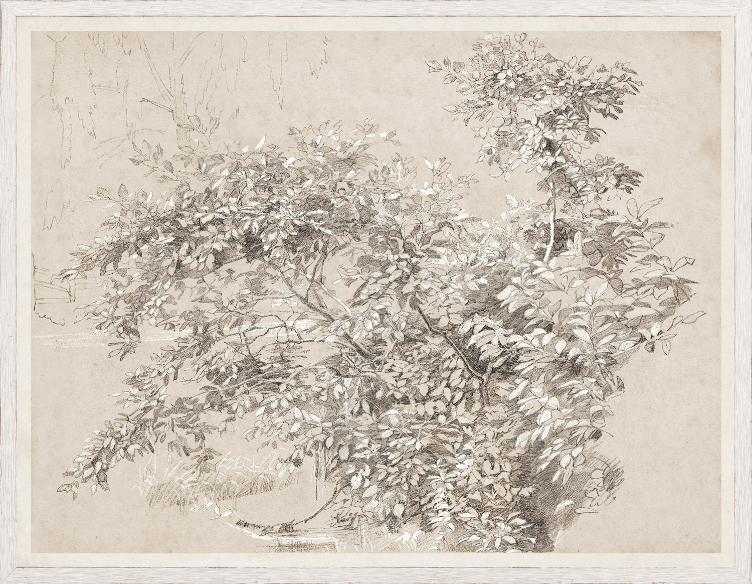 Graphite & Gouache Study C. 1890