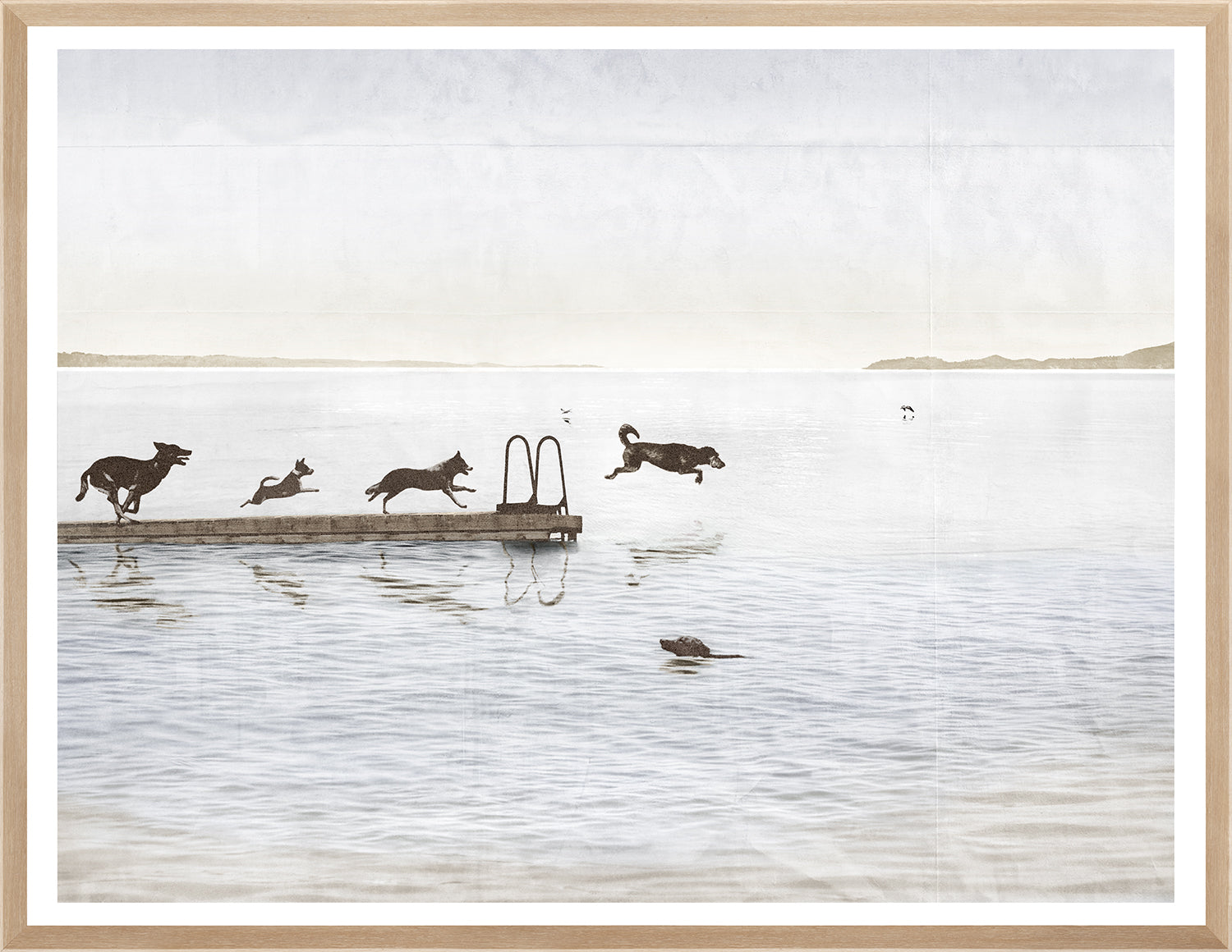 Dogs Day At The Cottage