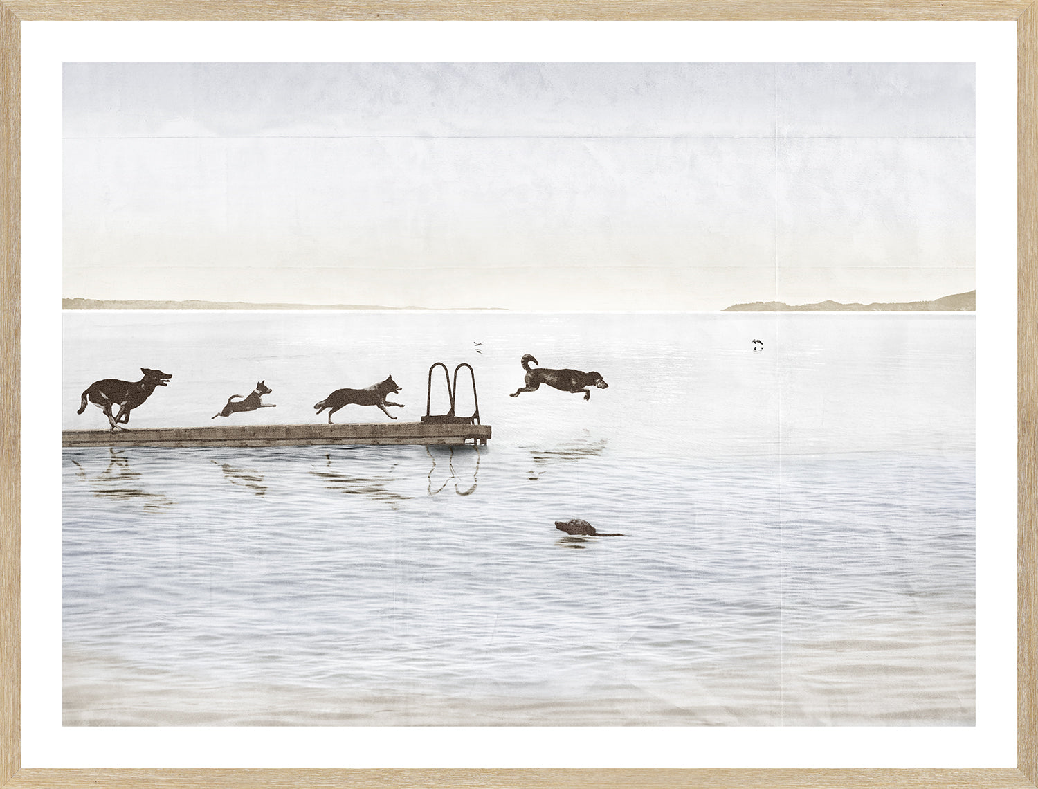 Dogs Day At The Cottage