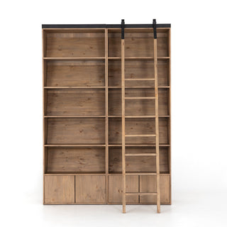 Ladder Bane Bookshelf