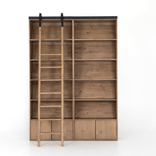 Ladder Bane Bookshelf