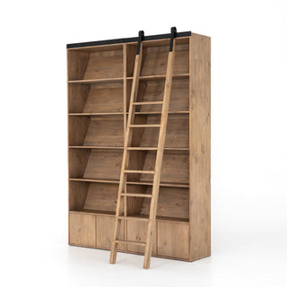 Ladder Bane Bookshelf