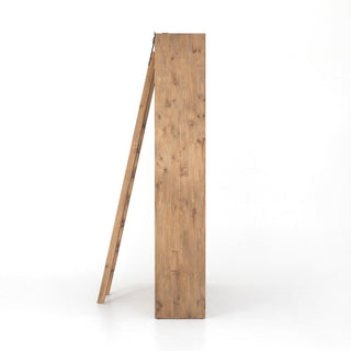 Ladder Bane Bookshelf