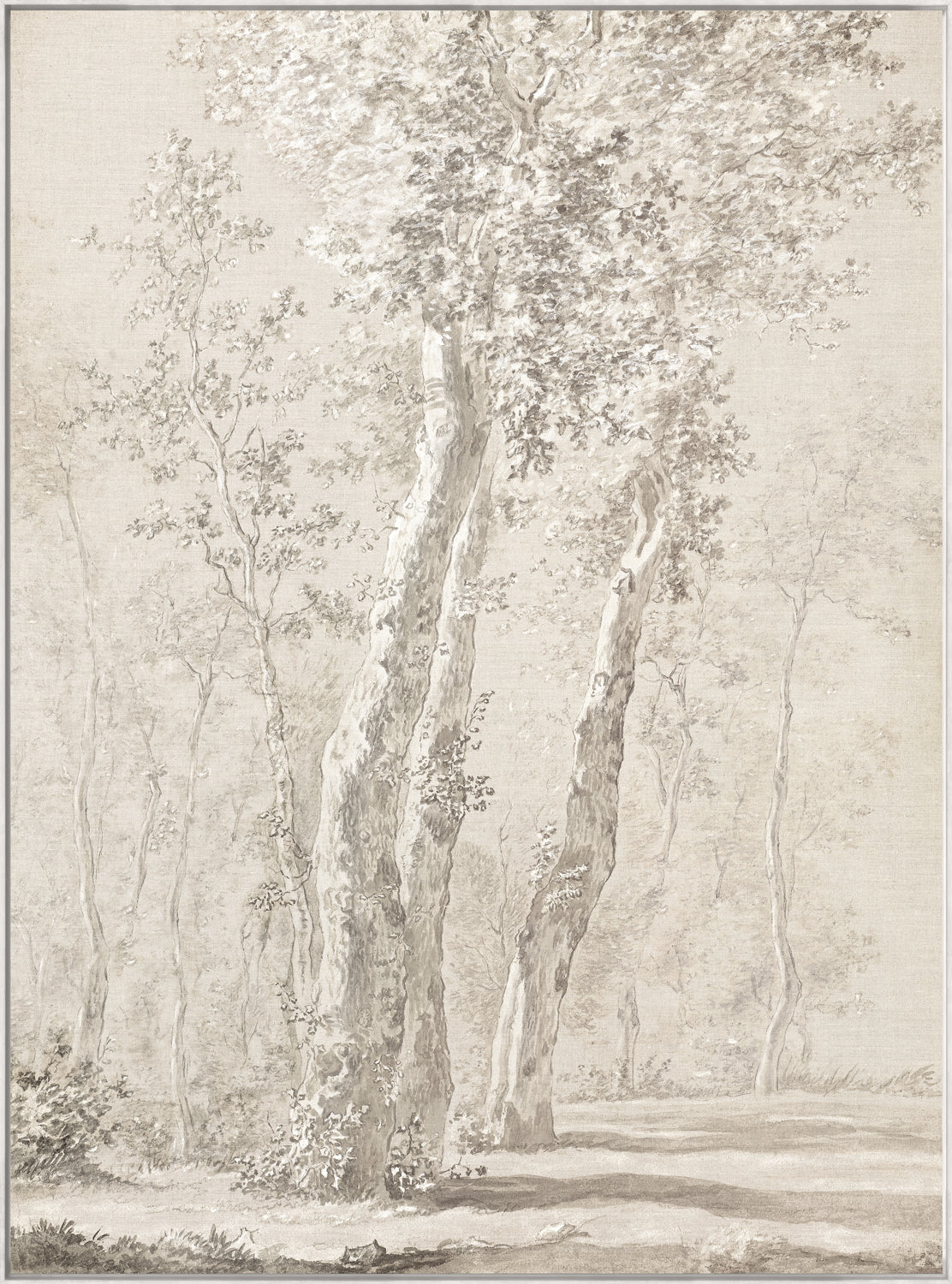 Sunlit Trees C. 1822