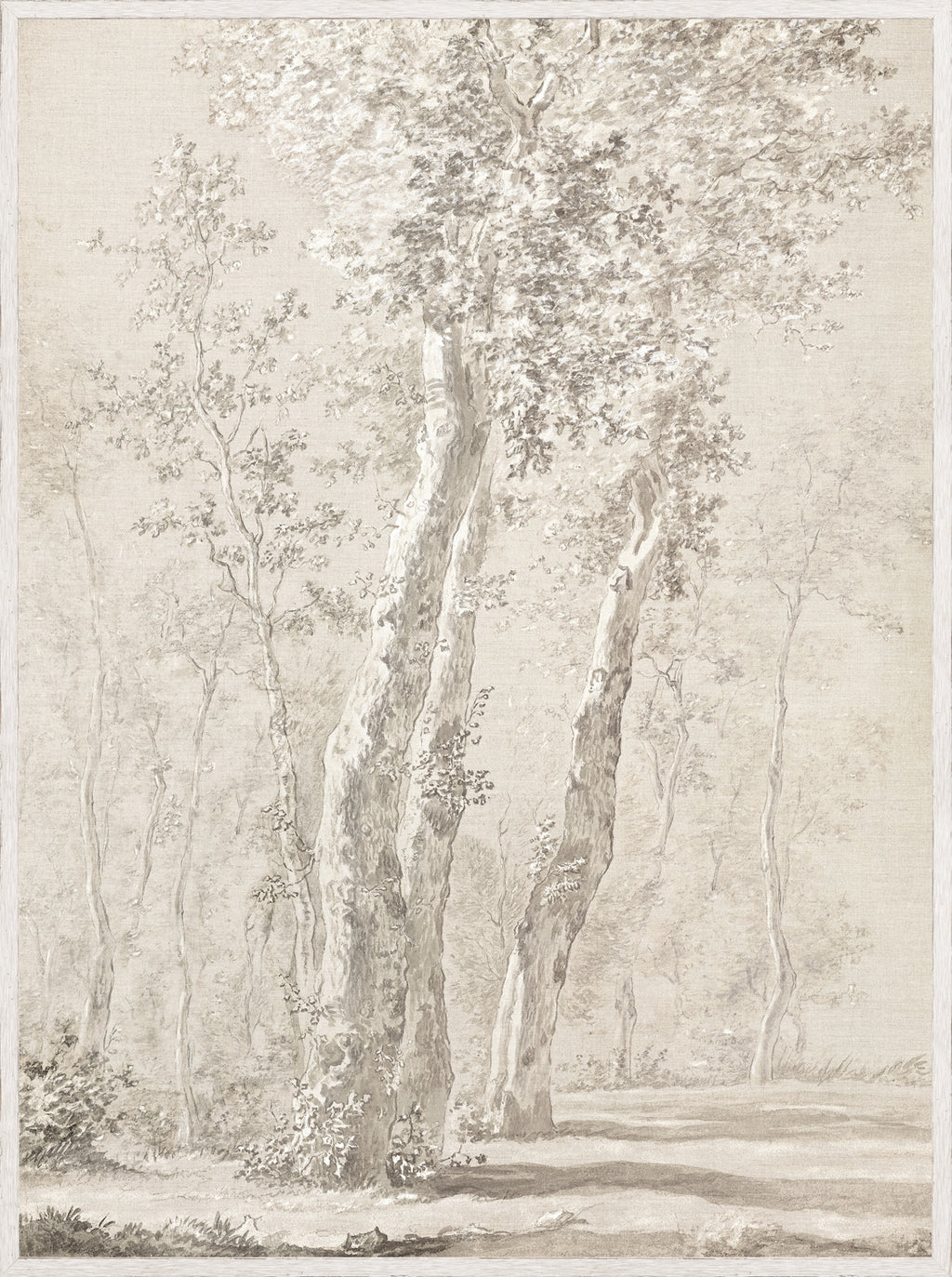 19th Century Standing Trees