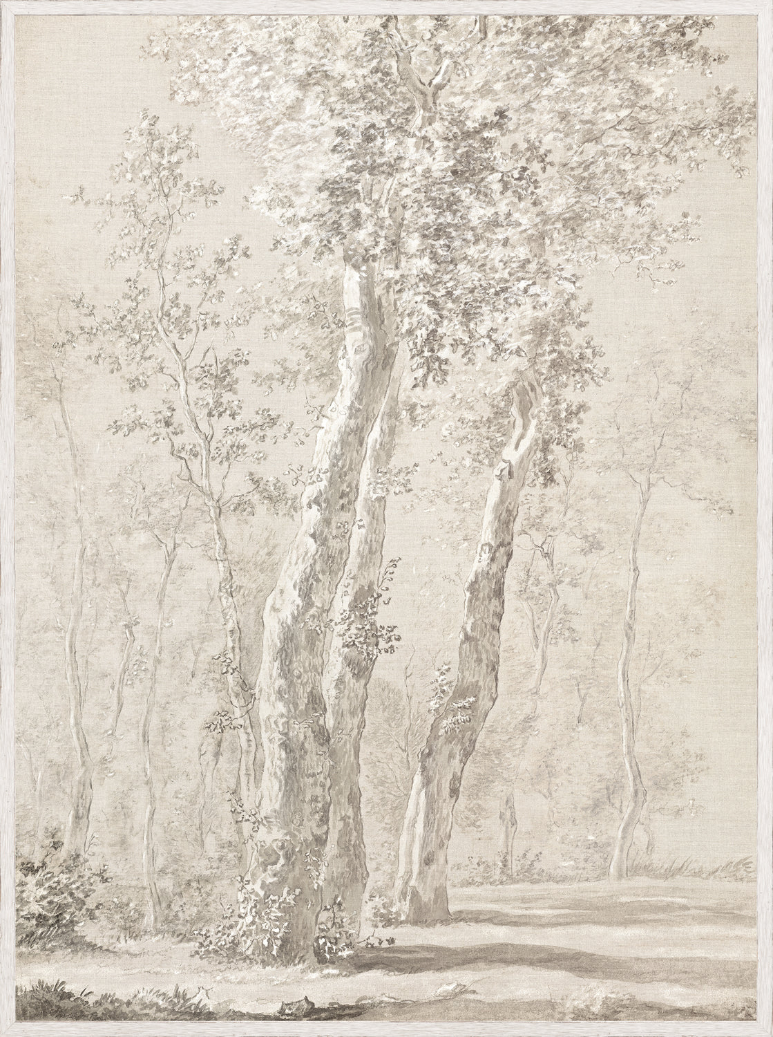 19th Century Standing Trees