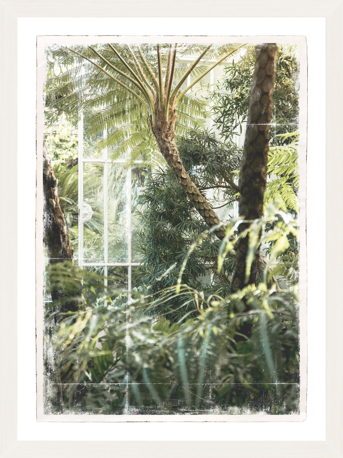 Greenhouse Series II