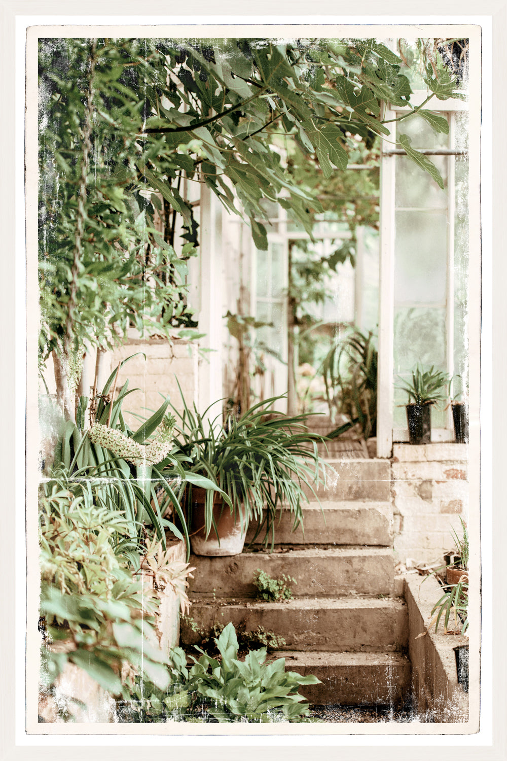 Greenhouse Series III