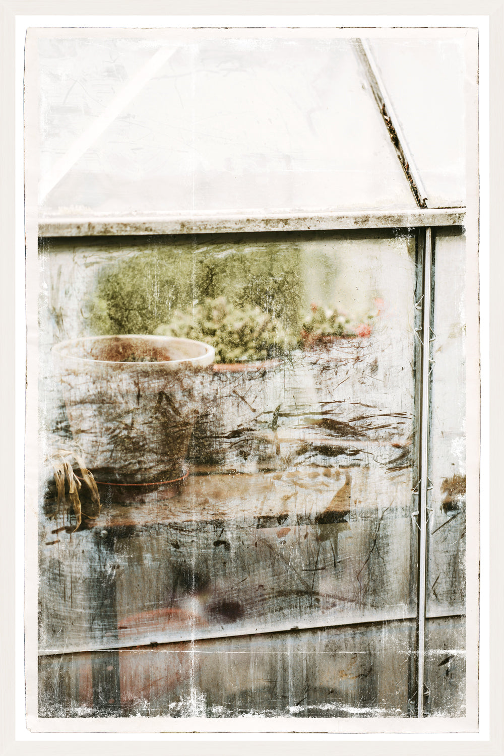 Greenhouse Series IV