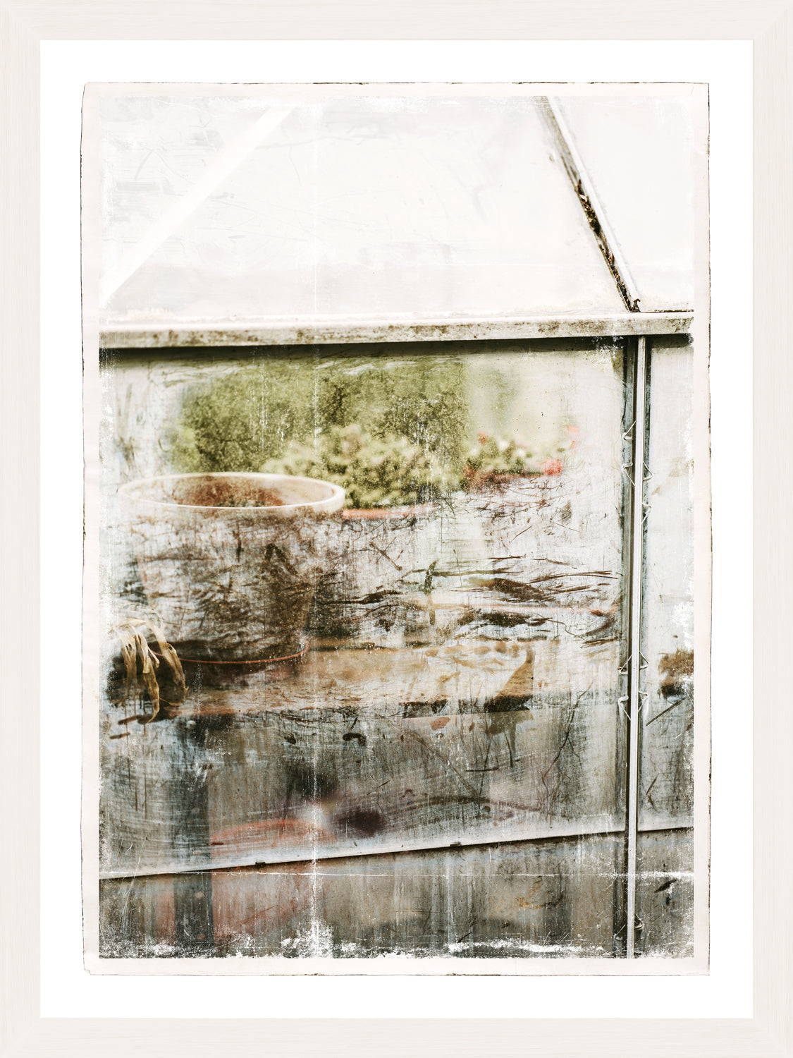 Greenhouse Series IV