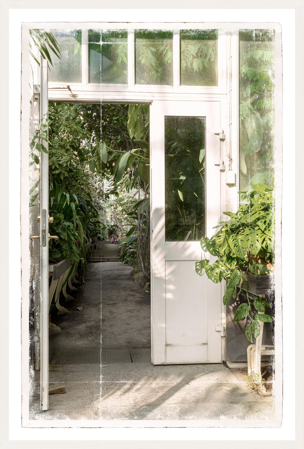 Greenhouse Series VI