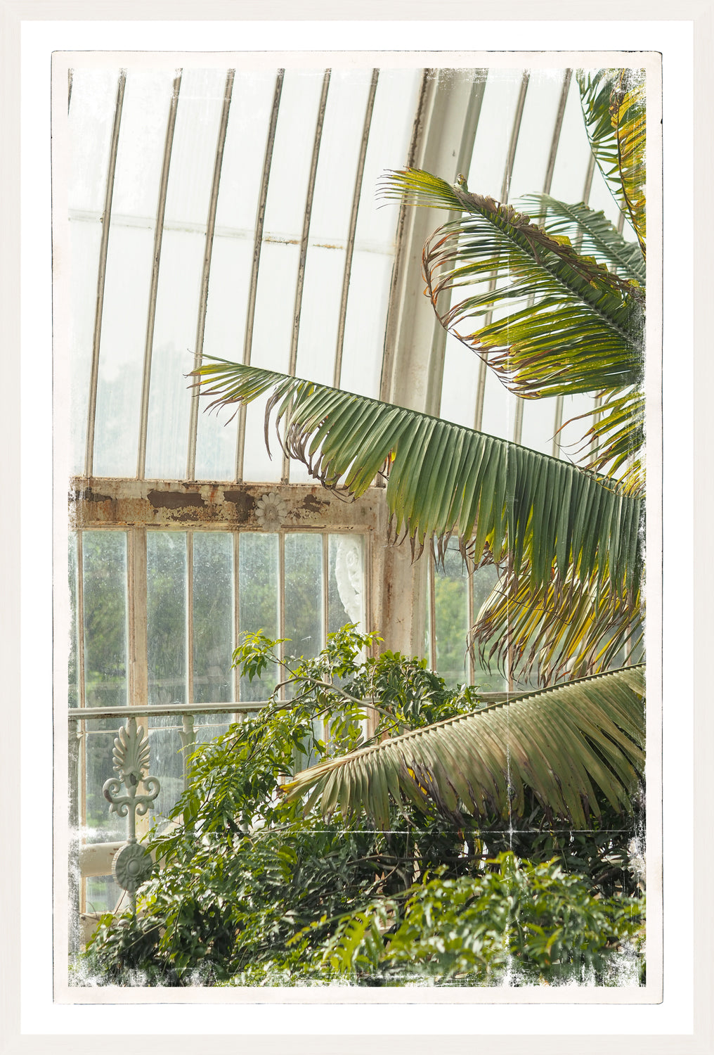 Greenhouse Series VII