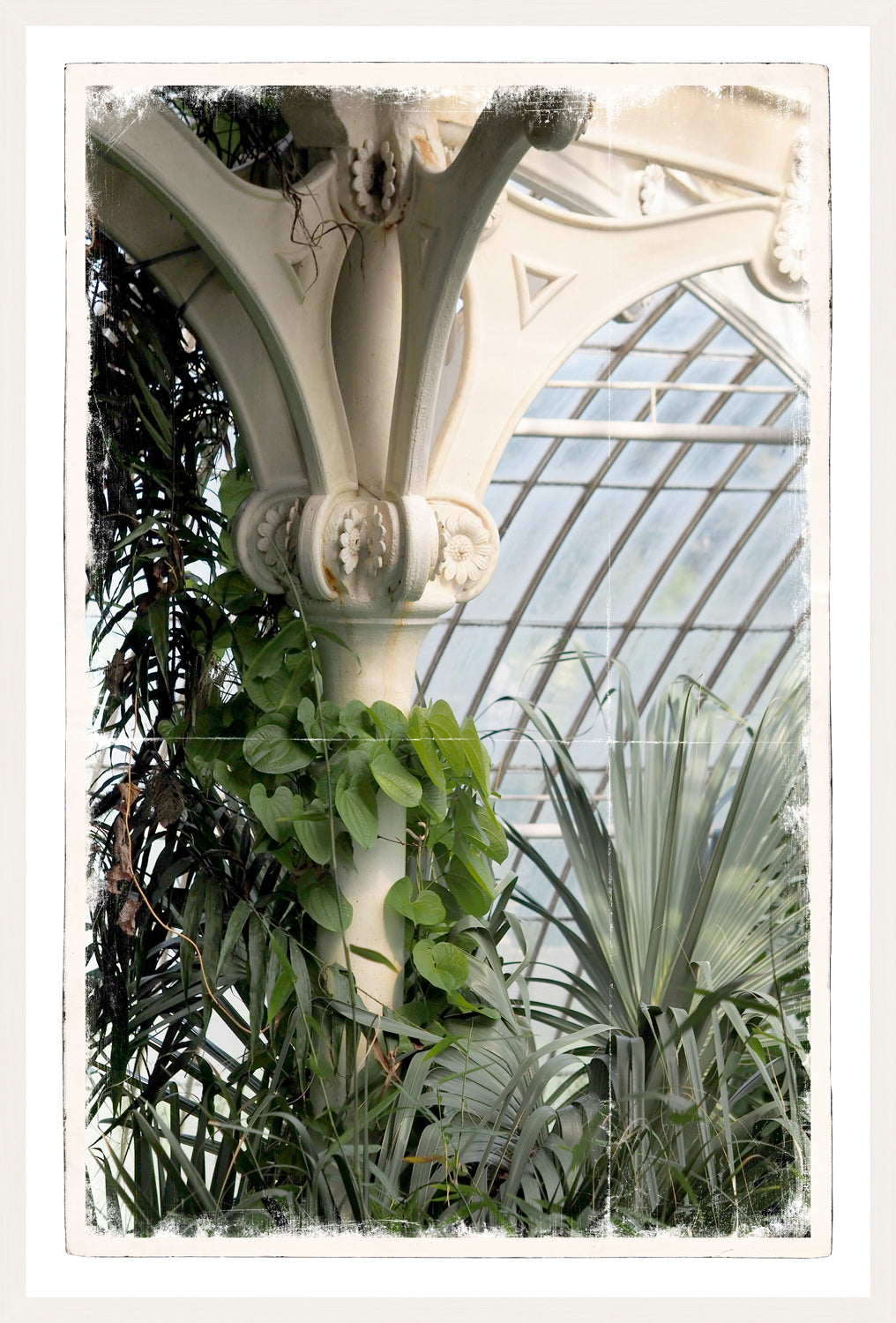 Greenhouse Series VIII