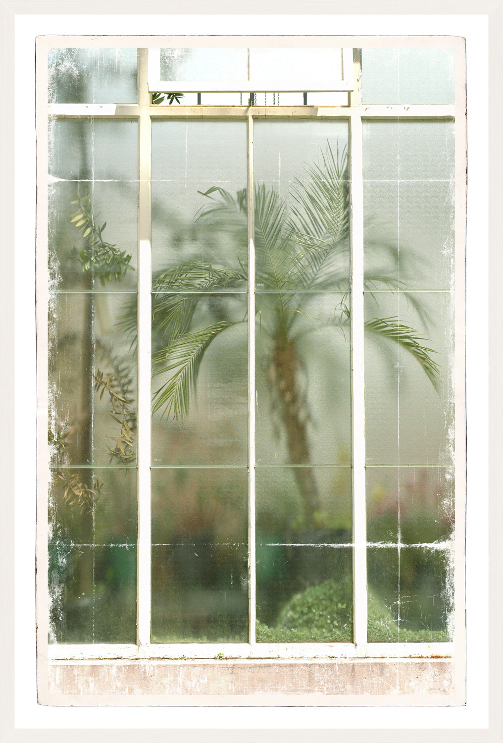 Greenhouse Series XII